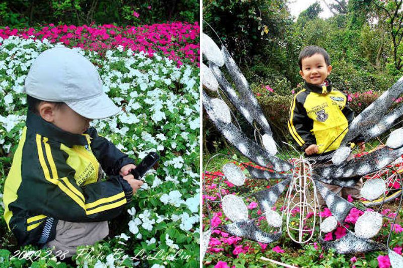 台北陽明山國家公園花季