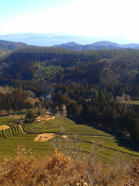 Vu De Loin Le Printemps Est Vert Drama Les yeux qui brident...: 2015