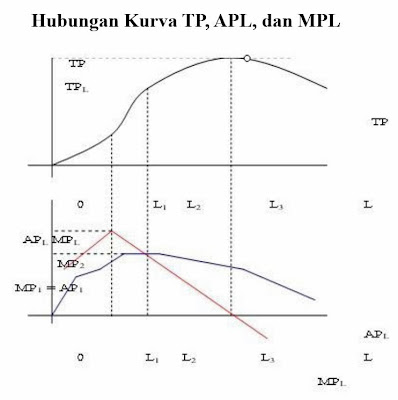 Hubungan Kurva TP, APL, dan MP Hubungan Kurva TP, APL, dan MP