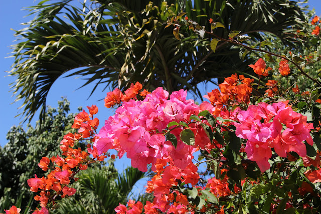 2016090138noumea.JPG