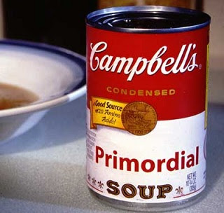 Image result for primordial soup