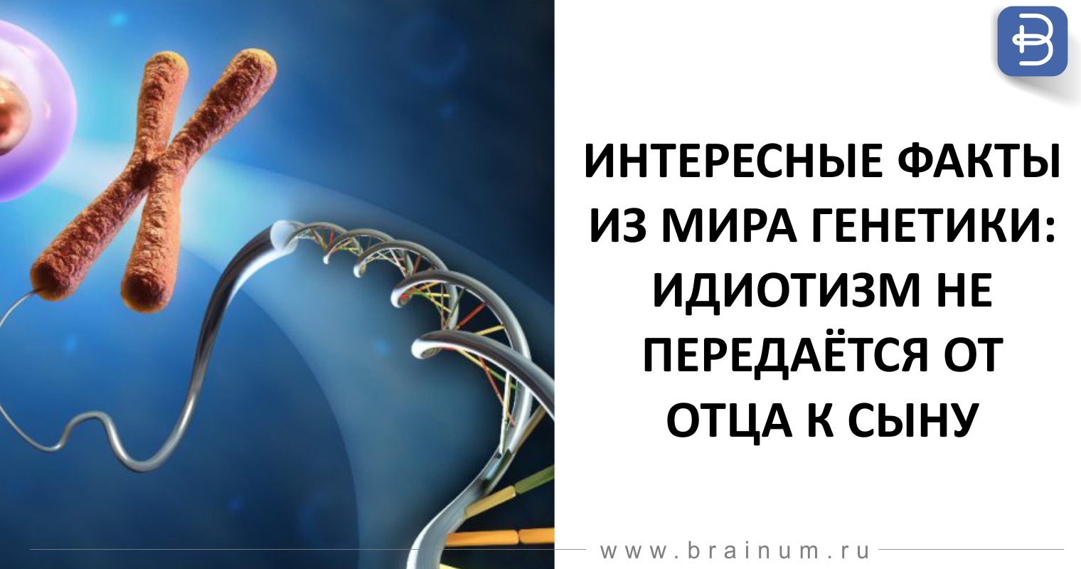 Интересные факты из мира генетики картинки Интересные факты из мира генетики картинки