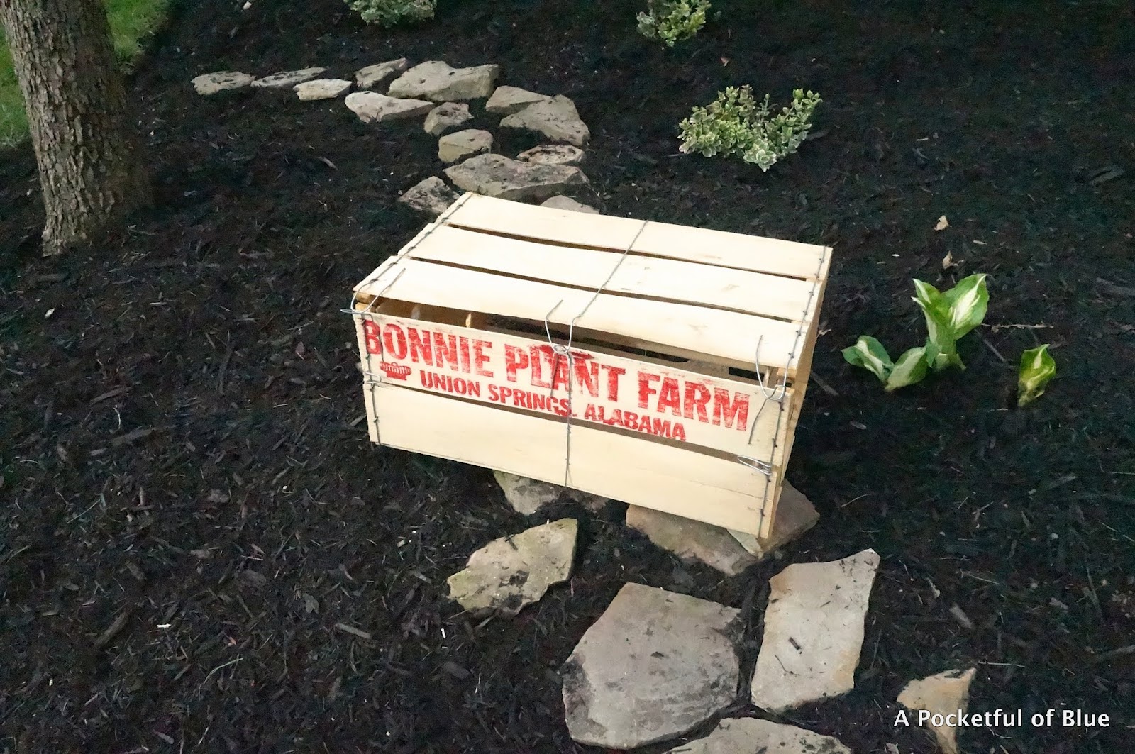 Free &quot;Bonnie Plant Farm&quot; Crate