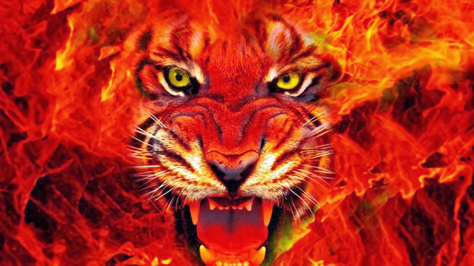 Fire tiger wallpapers