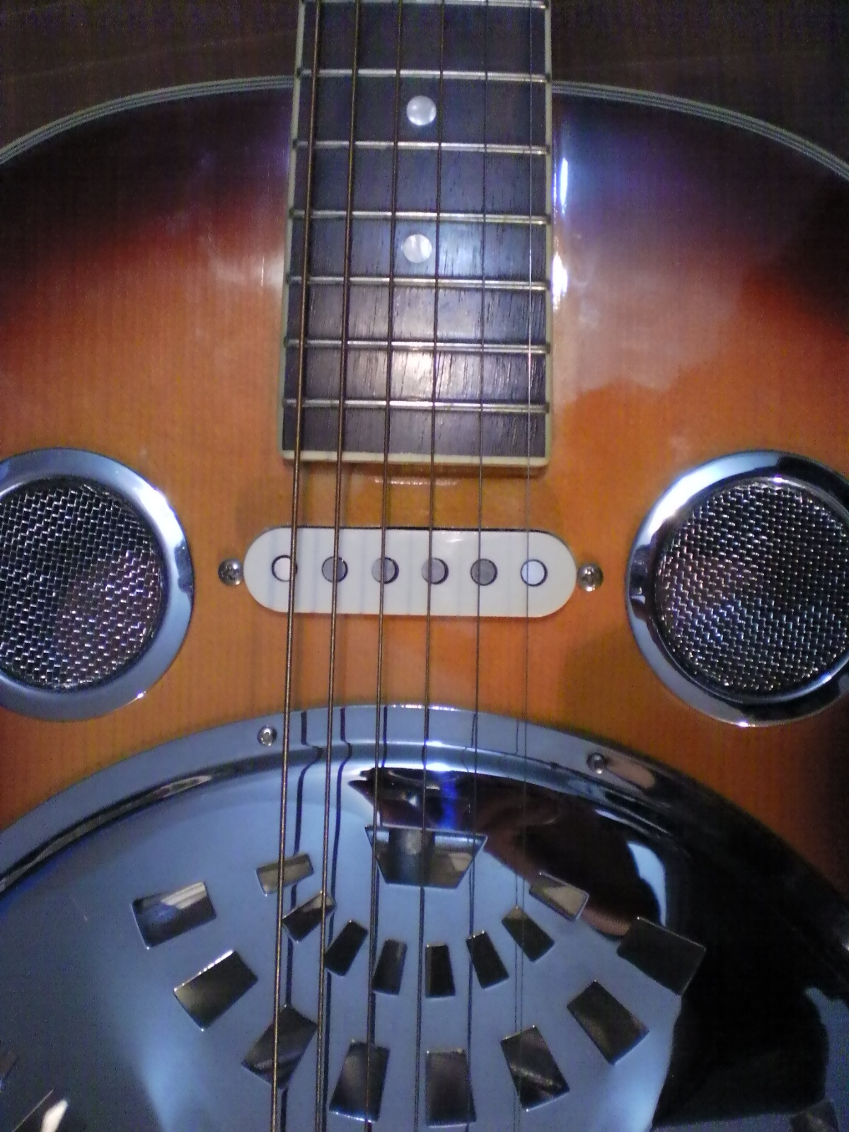 Chordophone Jack & Danny Dobro/Resonator + Fender Pickup