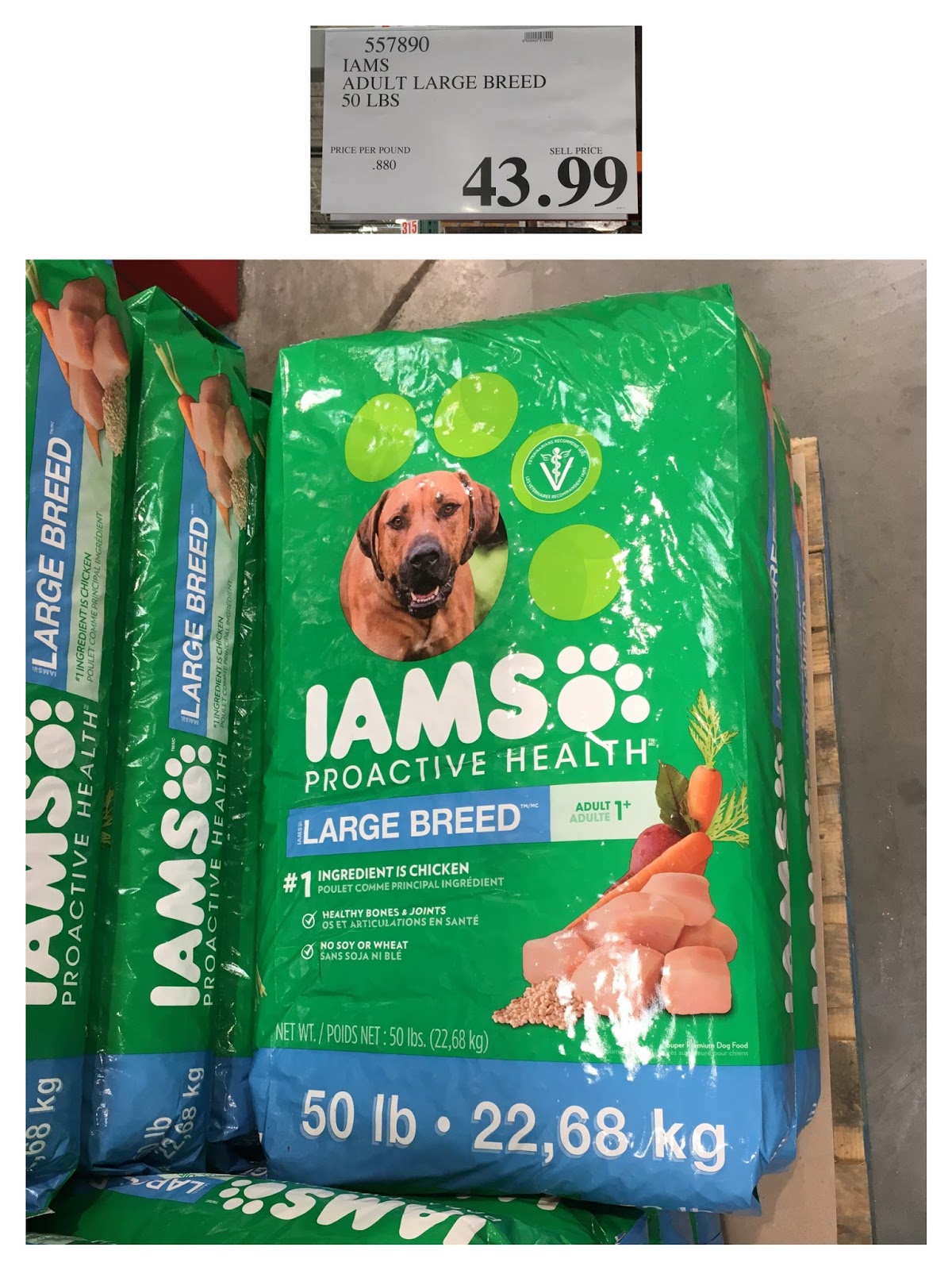 the Costco Connoisseur Buy Your Pet Supplies at Costco!