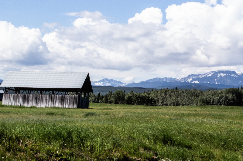 Maple Syrup Lactose Intolerance