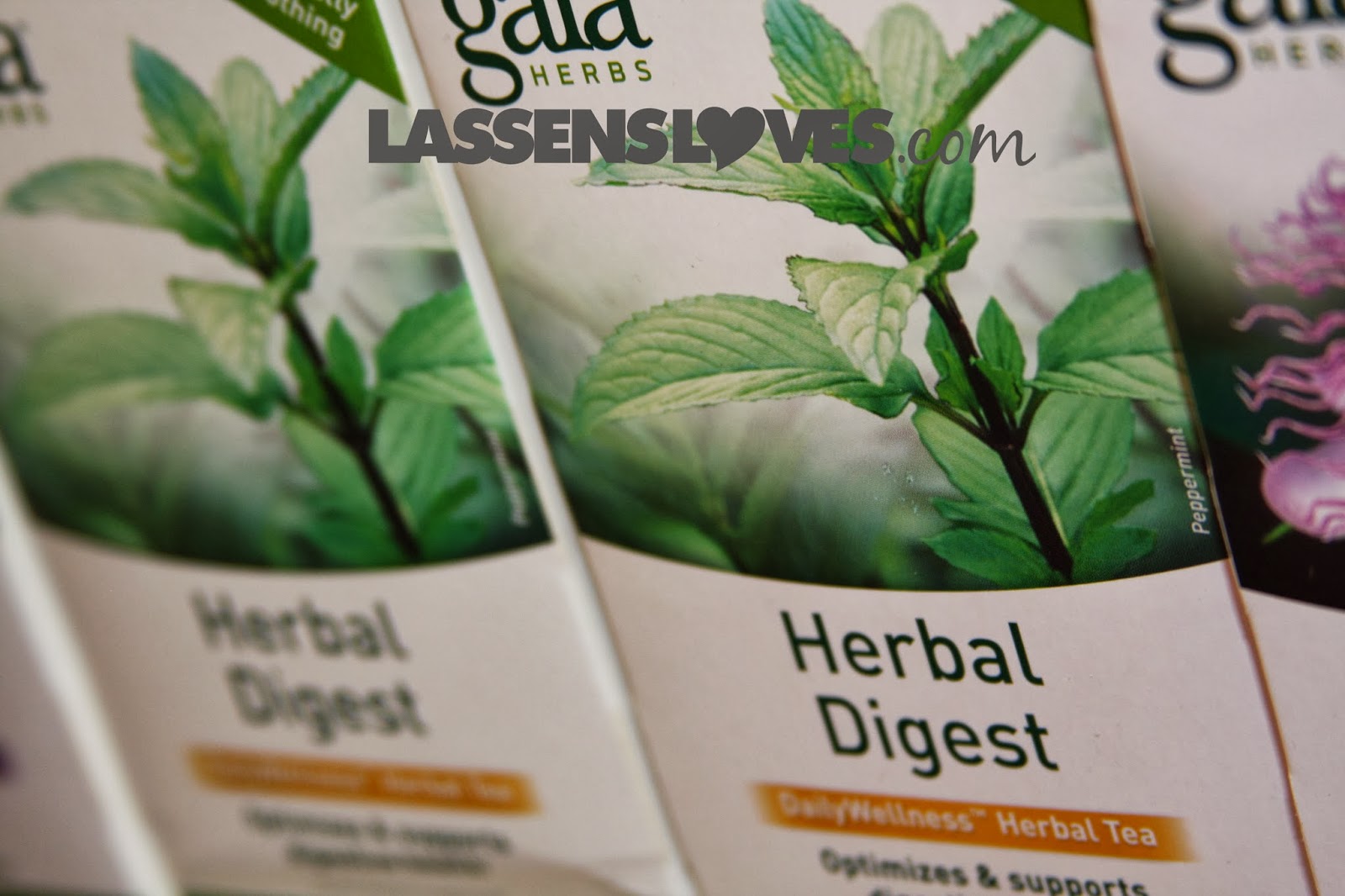 Herbal+Digest, Gaia+Herbal+Tea