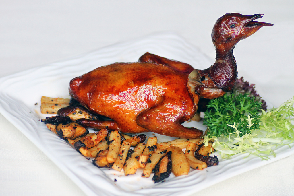 10 Manfaat Daging Burung Merpati Dara Menurut Pakar Nutrisionist