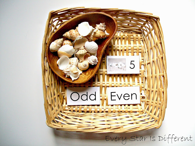 Odd & Even Shell Counting