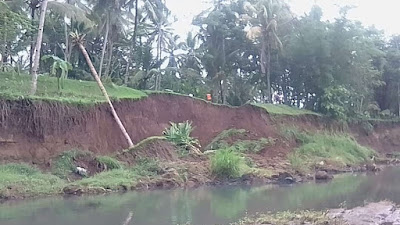 Debit Air Naik, Tanggul Kali Prapaglor Jebol