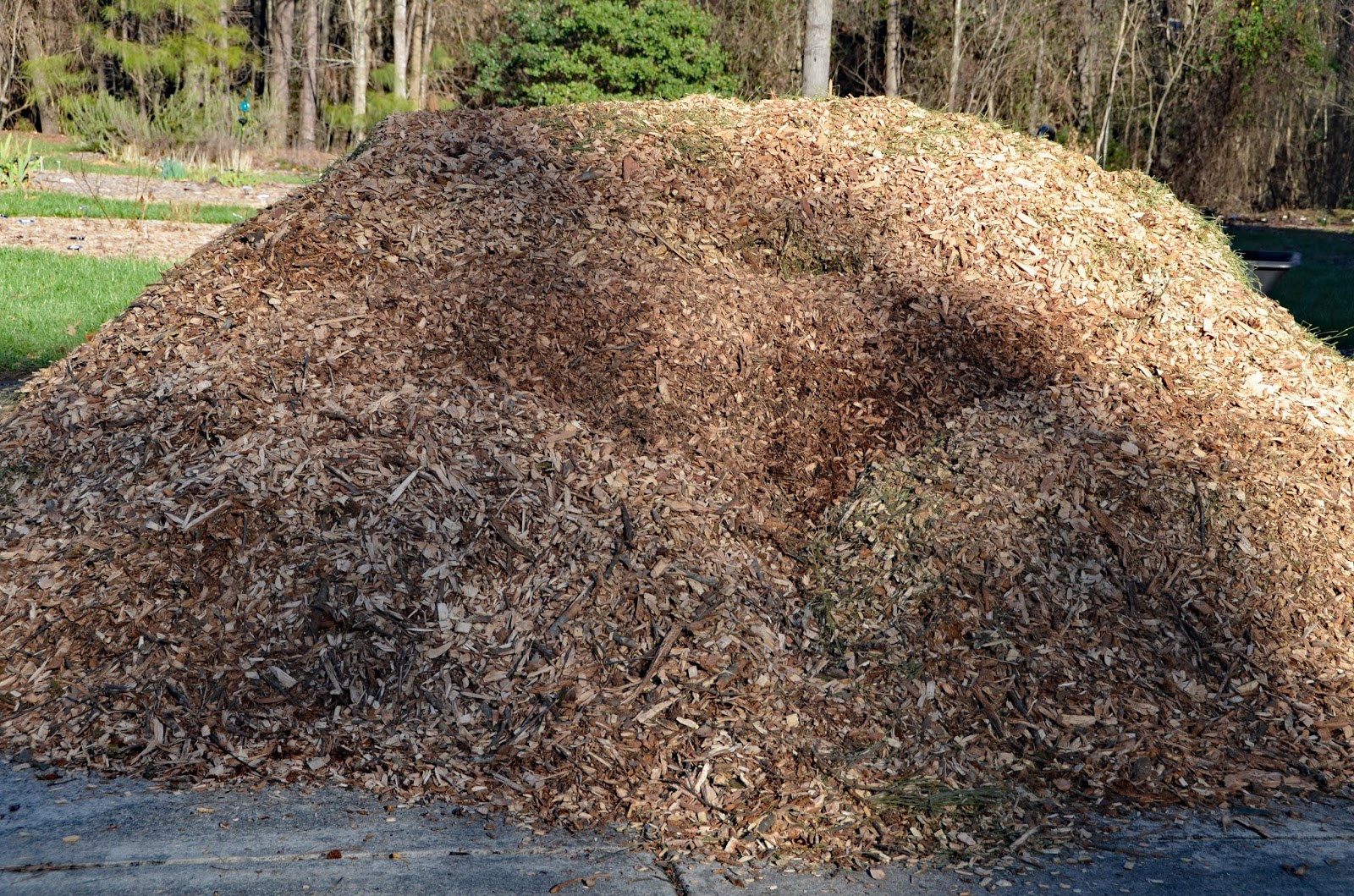 Southern Peony 2016 Truck Load of New Mulch for Peonies