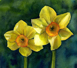 painting daffodil daffodils watercolor abstract paintings watercolour narcissus artwork flowers galanthus google van sunflower elegant drawings flower gogh janet fresh