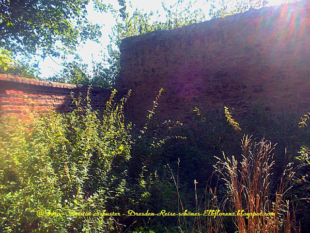 Burgruine Dohna
