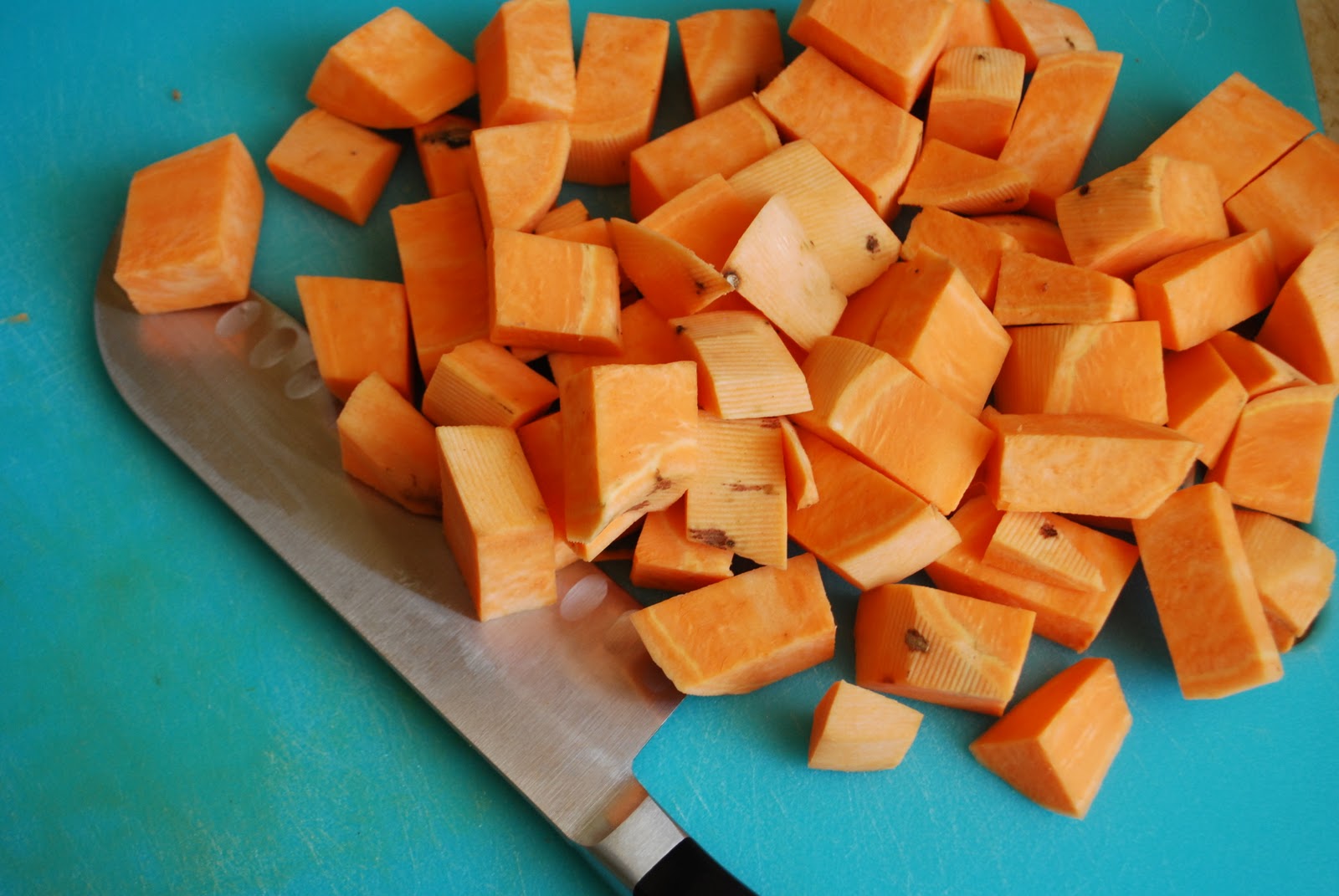 Our Live Active Culture Recipe Turkey Gizzard Pot Roast