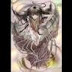 YOKO HIGASHI -ILLUSTRATIONS SLIDESHOW-02-