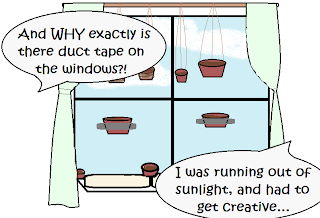 Window with pots on the ledge, hanging from the curtain rod, and stuck to the glass with tape.  Statement bubbles: "And WHY exactly is there duct tape on the windows?!" "I was running out of sunlight, and had to get creative..."