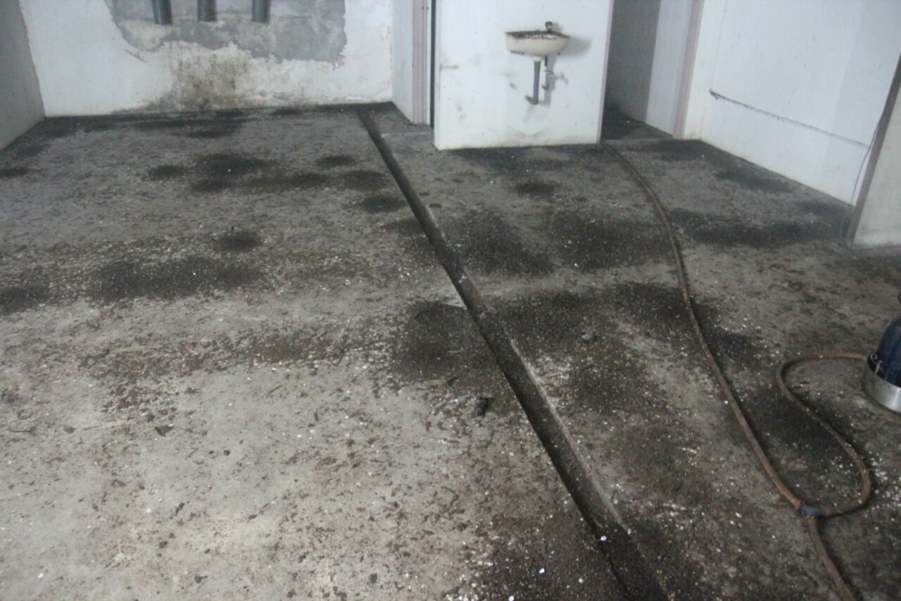 NUMIT Bird Nest 浓密燕窝 : BIRD's NEST ORIGINATED FROM TAIPING, MALAYSIA