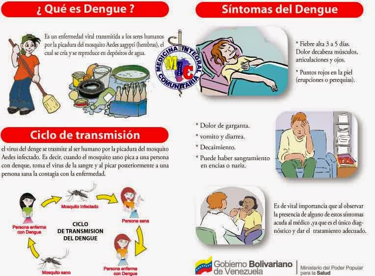 sintomas del dengue y tratamiento