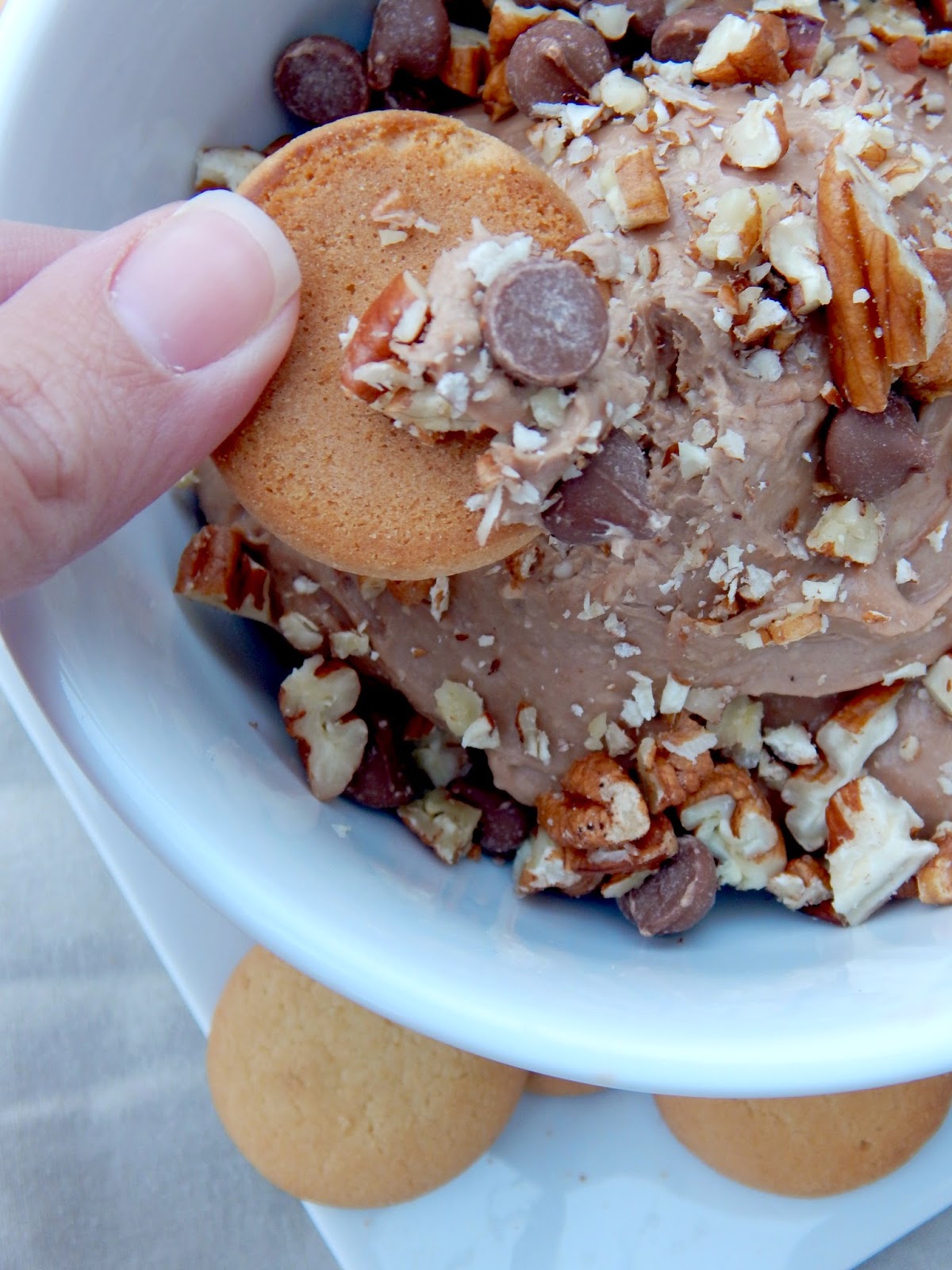 Hot Cocoa Dip Ally's Sweet & Savory Eats