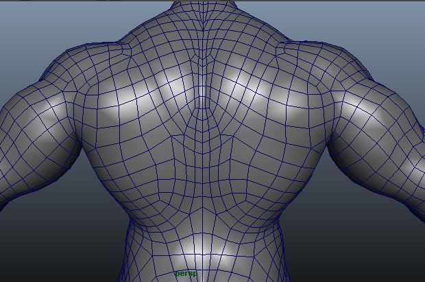 topology of human 3d - modelling, texturing, rendering ...