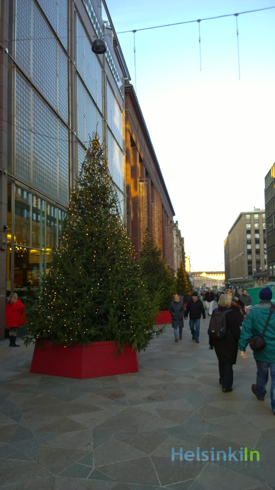 Stockmann Christmas trees on Keskuskatu