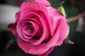 Best Top 10 Romantic Ways to Celebrate Valentine’s Day Best Top 10 Romantic Ways to Celebrate Valentine’s Day