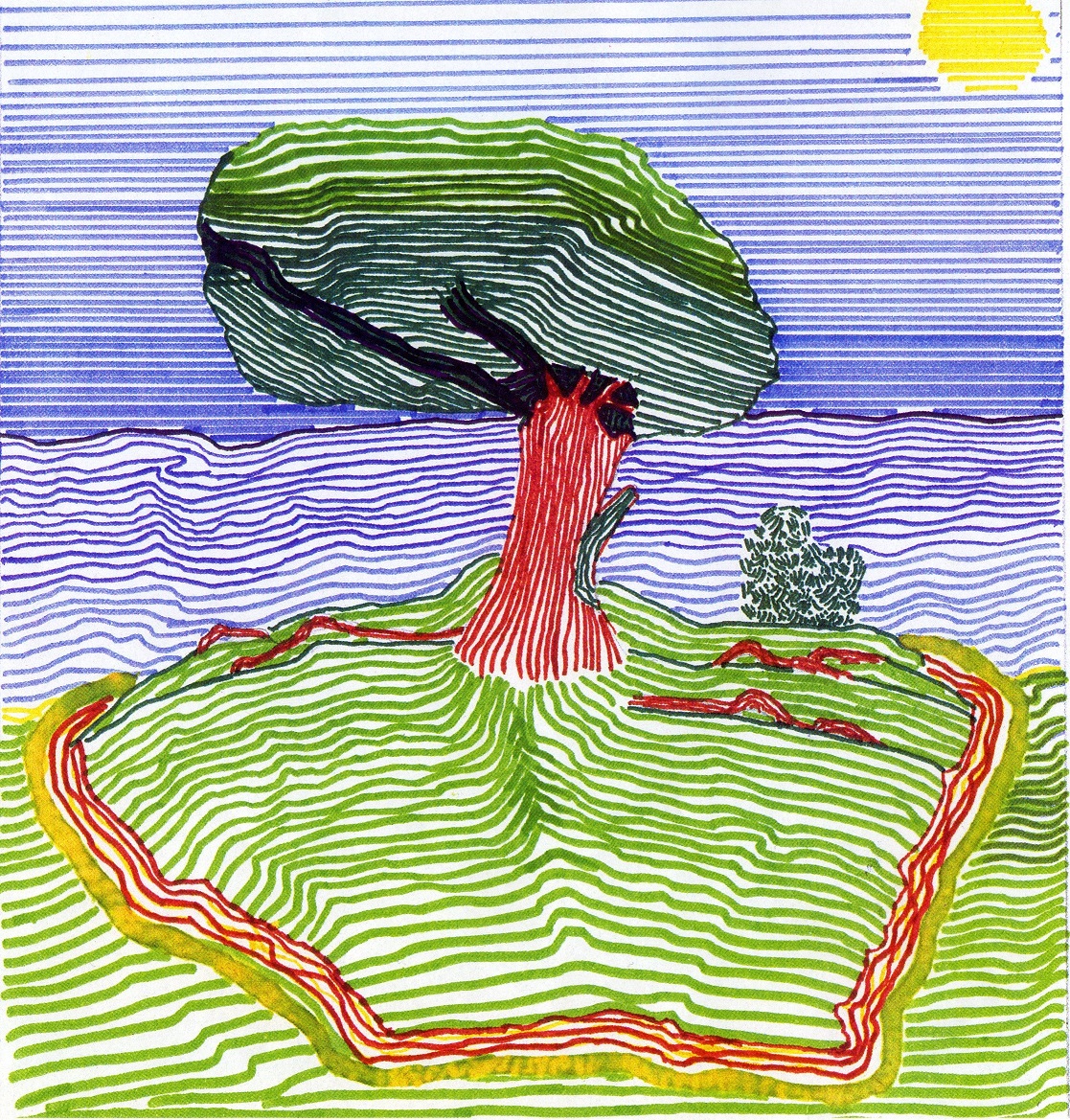 Visual Arts Working with... Lines I