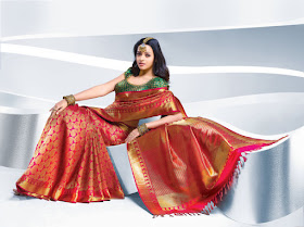 Actress Bhavana-In-Saree-Wallpapers