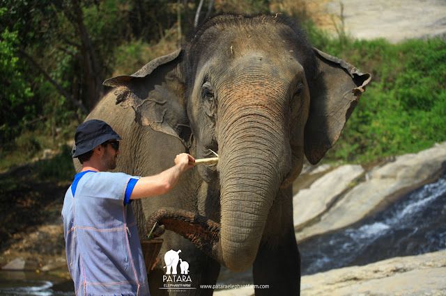 Blog Apaixonados por Viagens - Chiang Mai - O que fazer - Dicas - Passeios - Roteiro