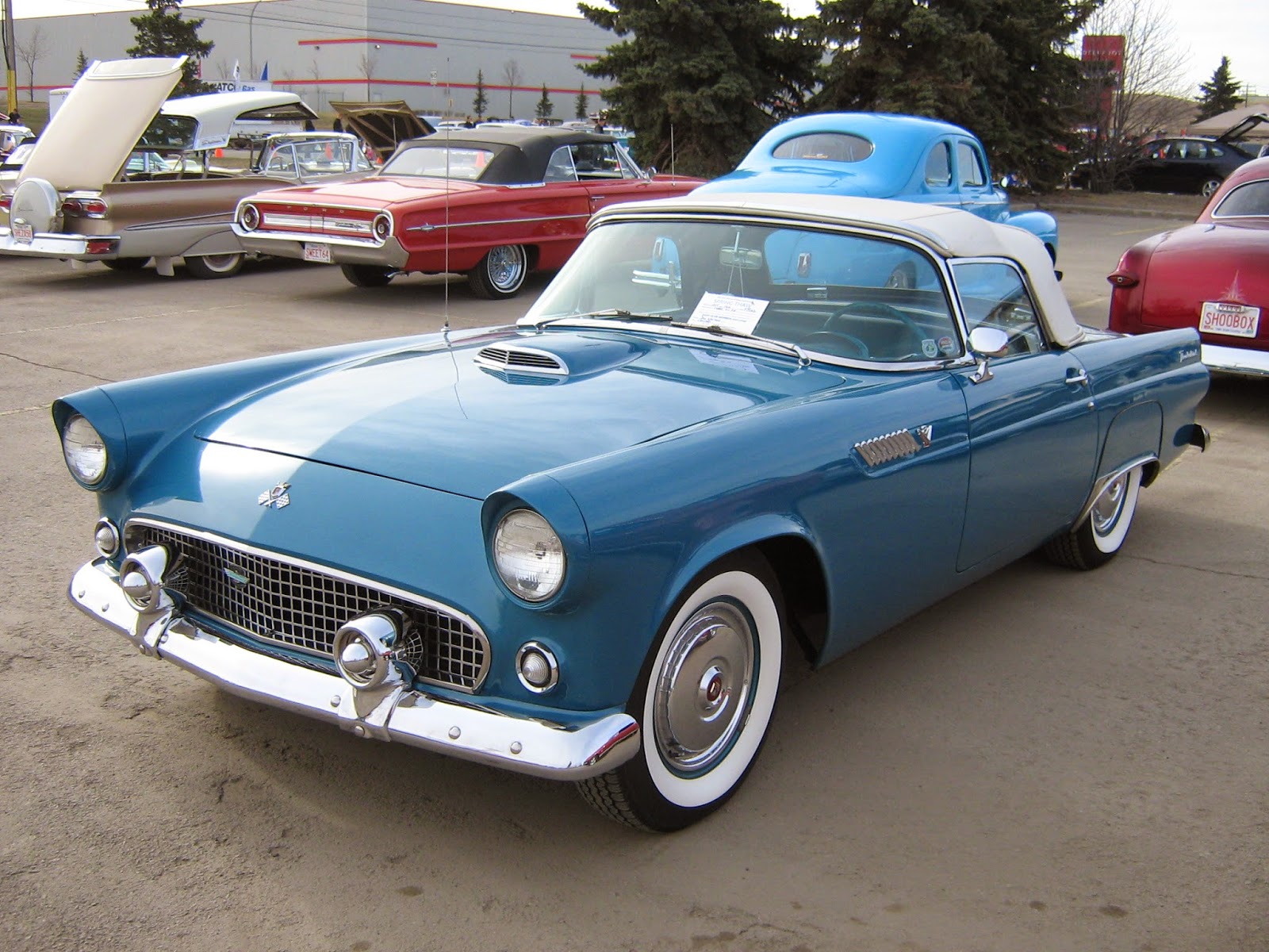Фото ford thunderbird