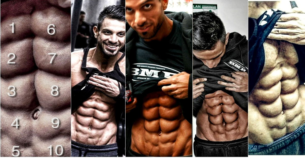 6Pack Abs and the Science Behind Them Muscles Monsters