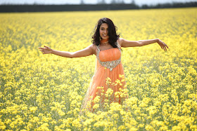 Sarah Jane Dias Outdoor Spicy HQ Photo Gallery
