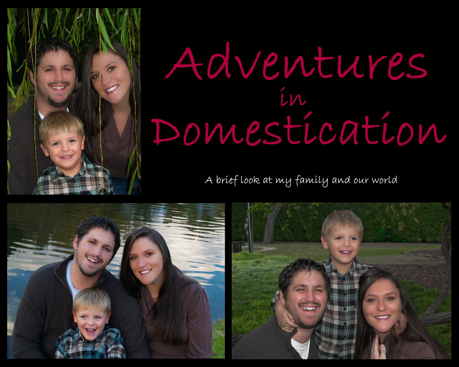Adventures in Domestication