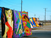 . some crazy dog ran across the interstate right of front (img )