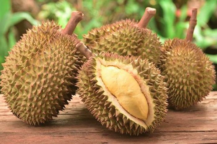 Ini Durian Termahal di Indonesia, Harganya Rp14 Juta Per Buah Ini Durian Termahal di Indonesia, Harganya Rp14 Juta Per Buah
