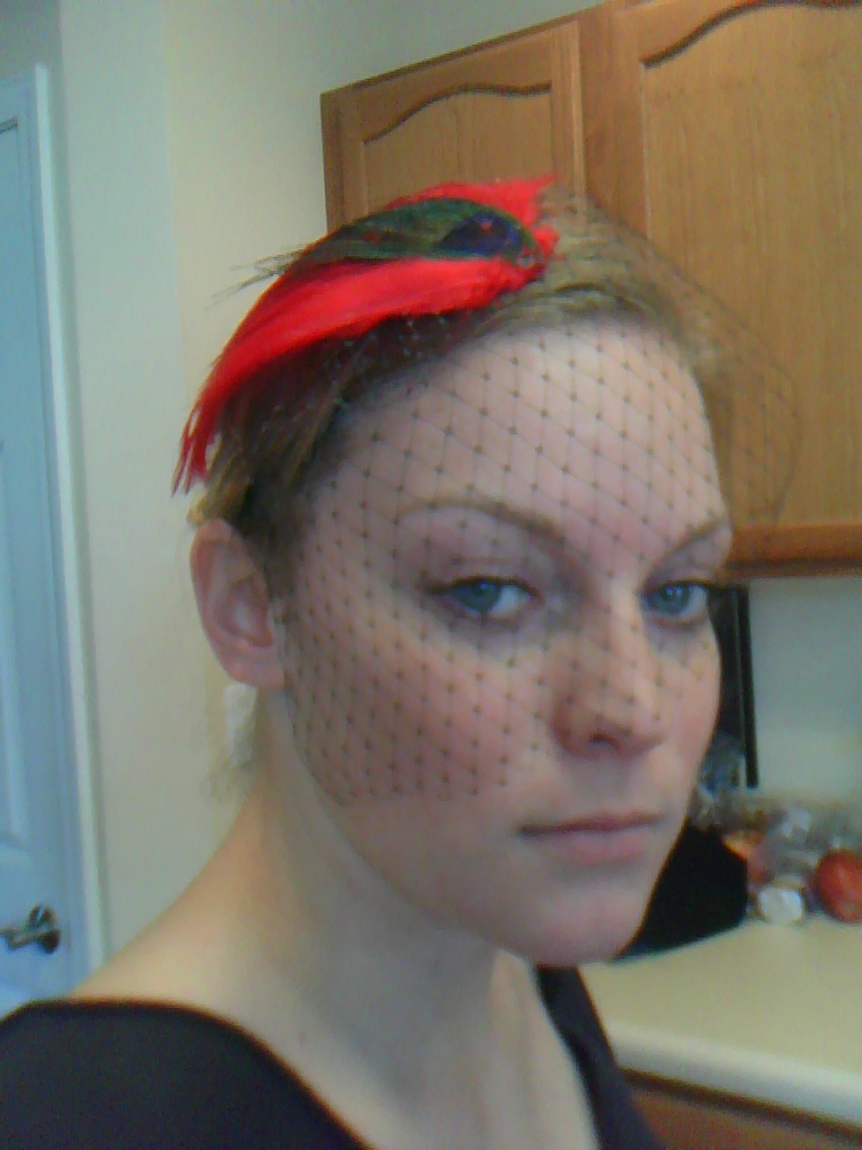 Illuminations In Orbit My DIY Bird Cage Fascinator