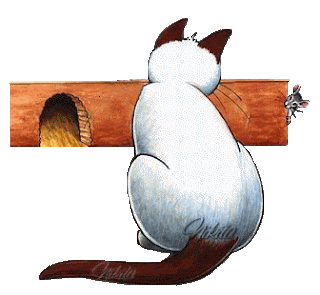 gato_rato41.gif