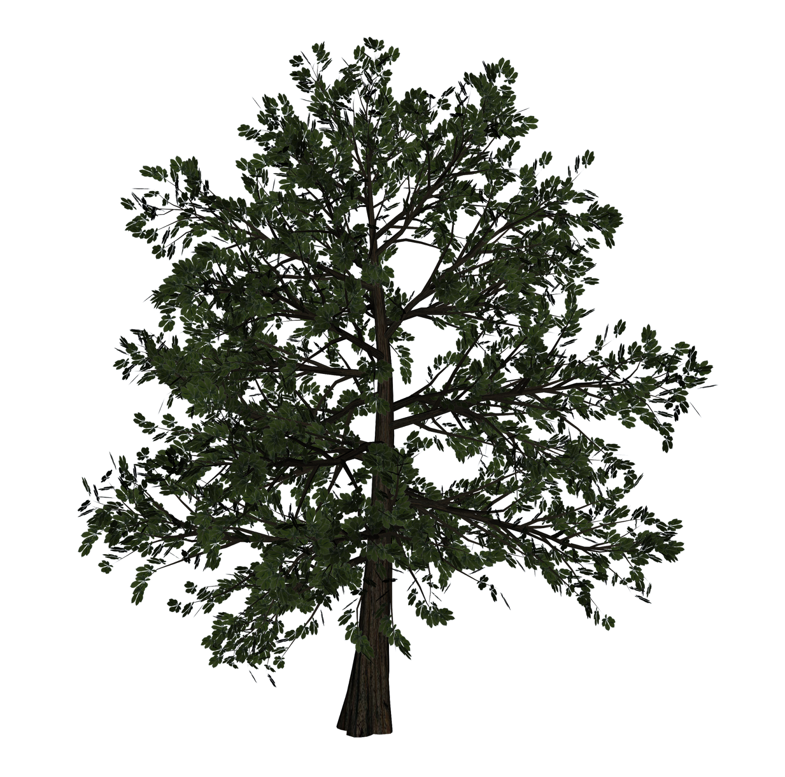 Блог Колибри: PNG КЛИПАРТ ДЕРЕВЬЯ