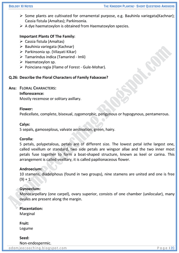 kingdom-plantae-short-question-answers-biology-11th