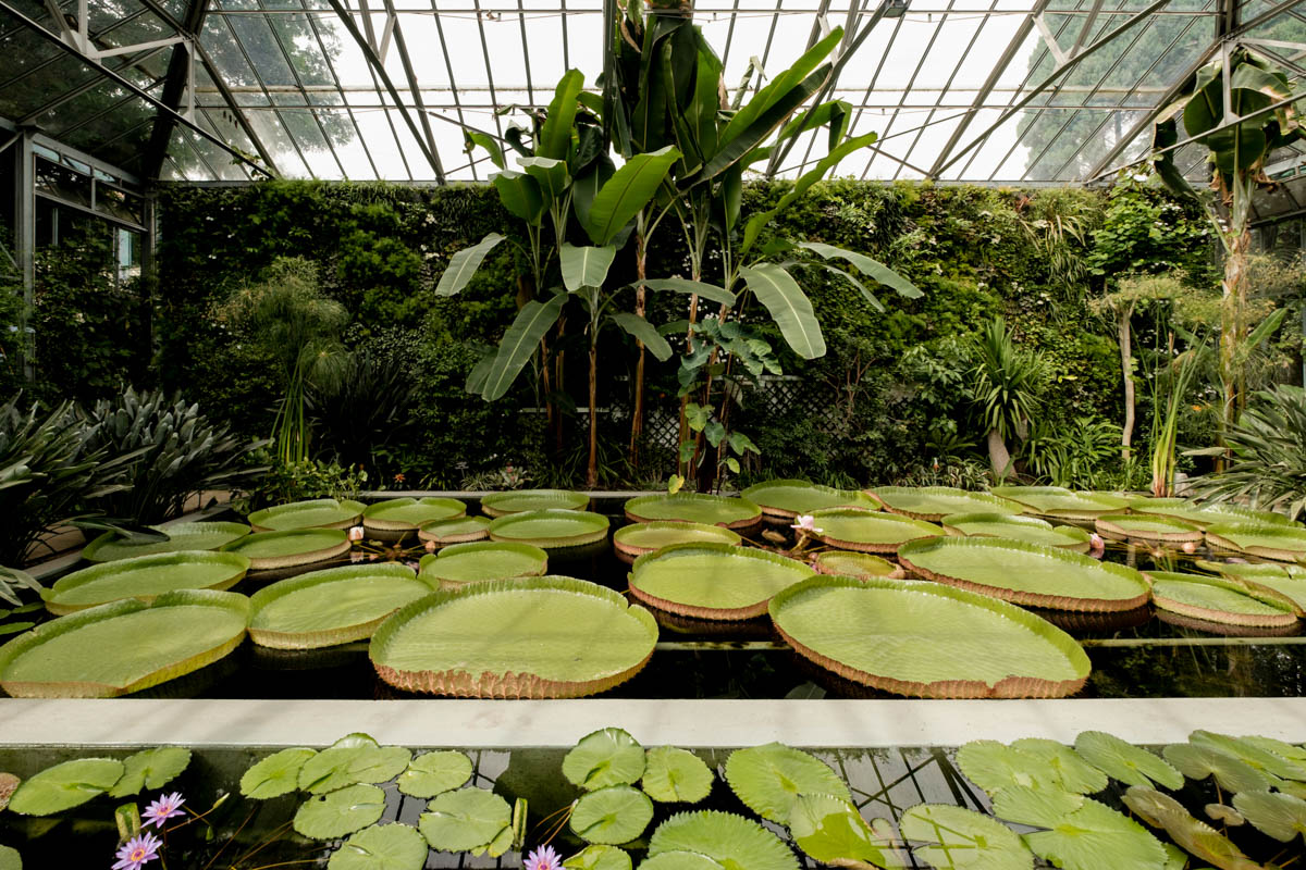 Botanischer Garten Verbania Reise in die 70'er