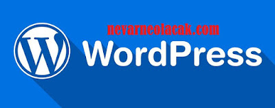 WordPress Etiketleri Eklerken Dikkat Edilmesi Gerekenler