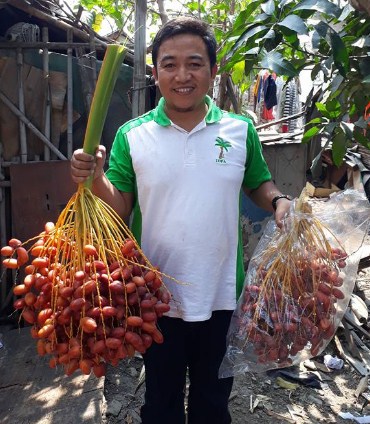Manfaat Buah Kurma