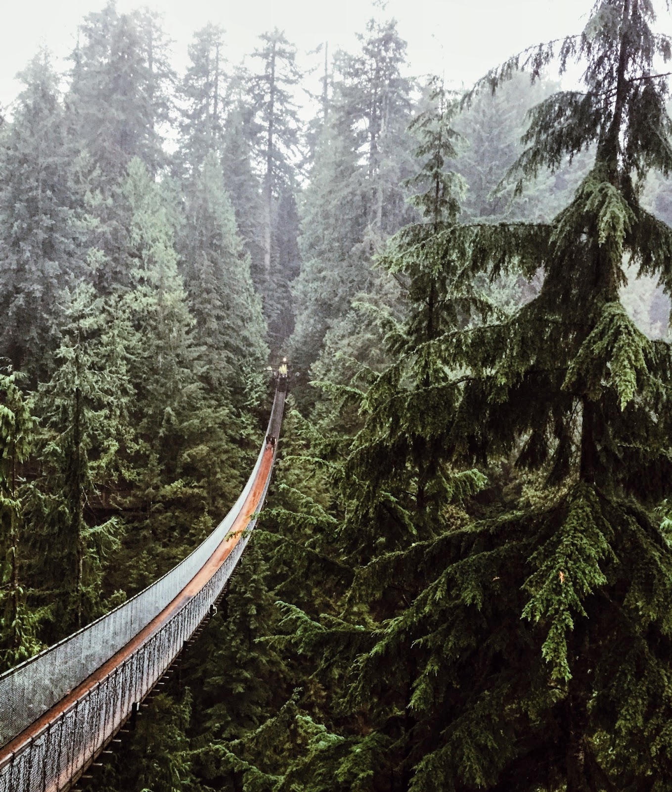 Vancouver Capilano Suspension Bridge Park StephC