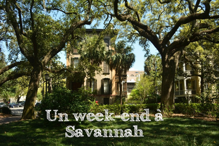 savannah-ville
