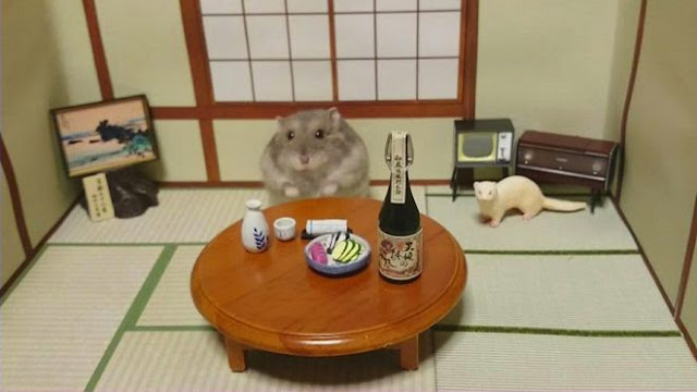 Un chouette restaurant japonais tenu par des petits hamsters  Un%2Brestaurant%2Btenu%2Bpar%2Bdes%2Bhamsters%2Bphoto%2B18