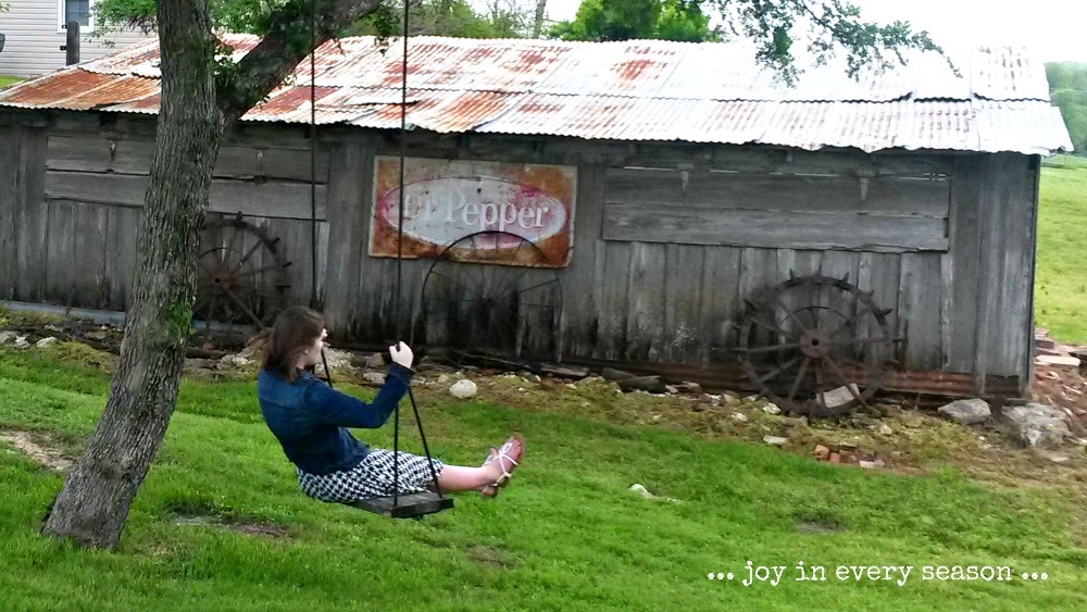 Afternoon at Farm joy in every season