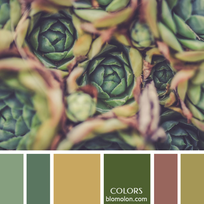 variedad en color paletas colores 10 variedad_en_color_paletas_colores_10