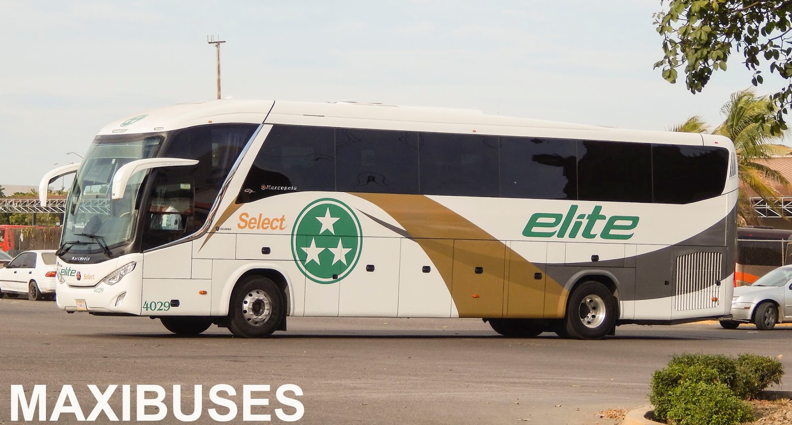 MAXIBUSES ELITE SELECT NUEVAS UNIDADES
