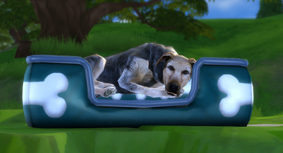 My Sims 4 Blog Ts2 Pet Bed Conversion By Biguglyhag